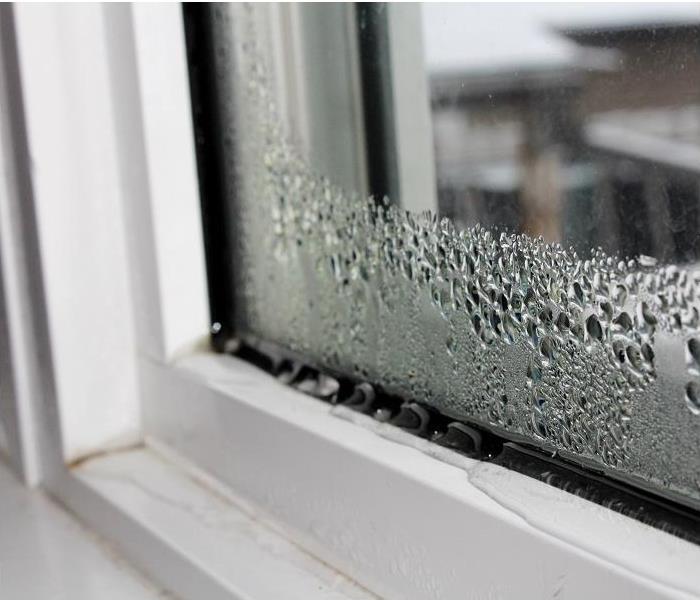 condensation in window