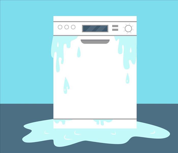 leaking dishwasher