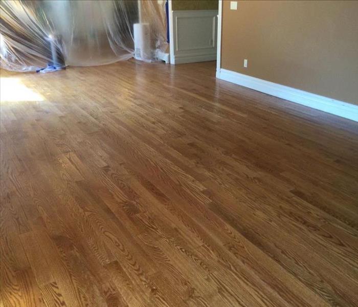 hardwood floor, poly sheeting